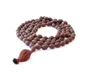 Lotus Seed Mala Beads 